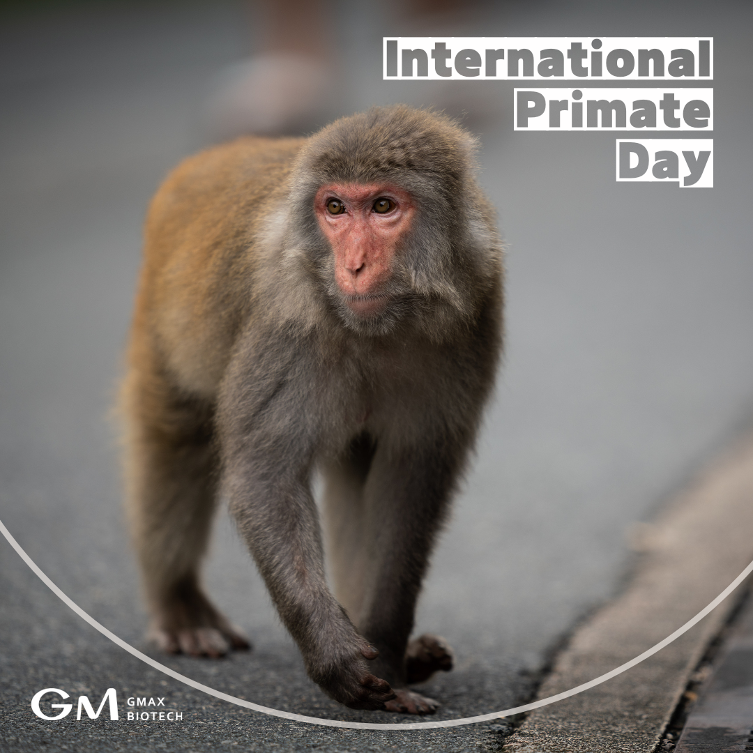 International Primate Day